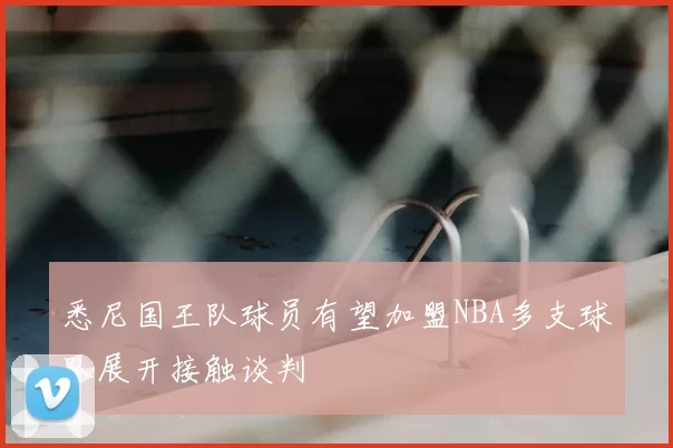 悉尼国王队球员有望加盟NBA多支球队展开接触谈判