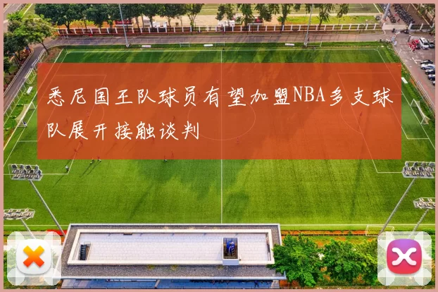 悉尼国王队球员有望加盟NBA多支球队展开接触谈判