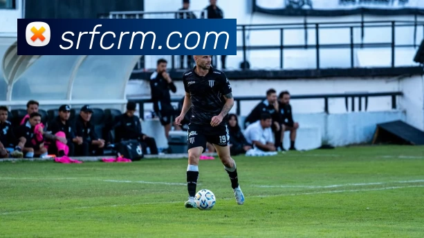 beat·365(中国)官方网站平台生态图